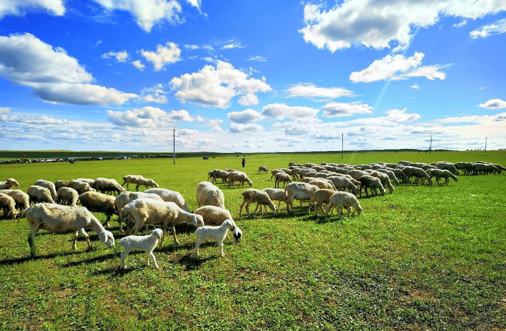 7cdc7e31349543c41e32838acddb2732.png 樂林丨讓每個人,樂享品質(zhì)涮烤生活